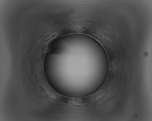 X0000095681201200801151118