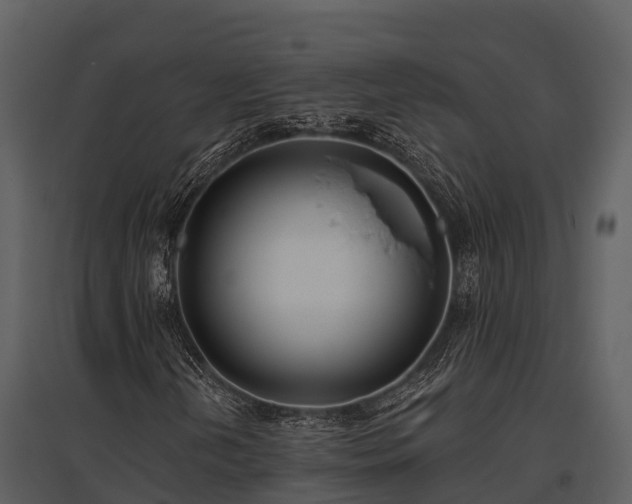 X0000095681202200801151118