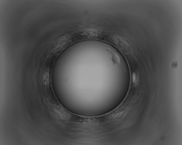 X0000095681203200801151118