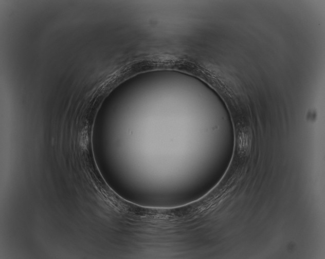 X0000095681204200801151118
