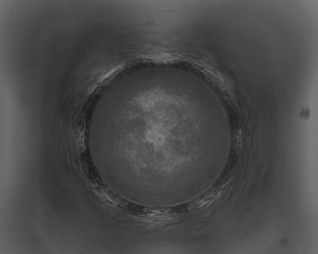 X0000095681205200801151118