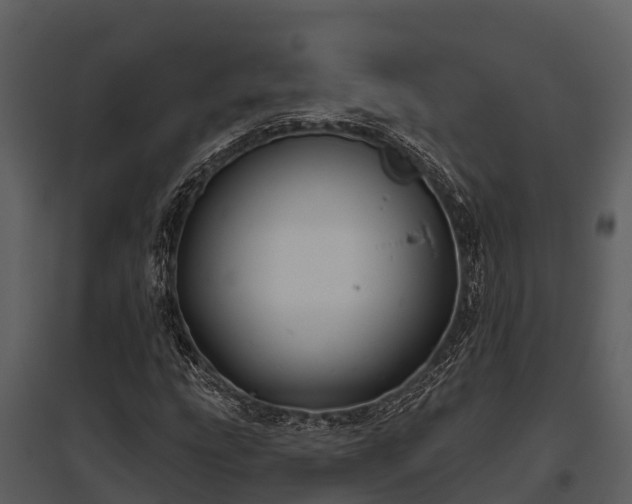 X0000095681207200801151118