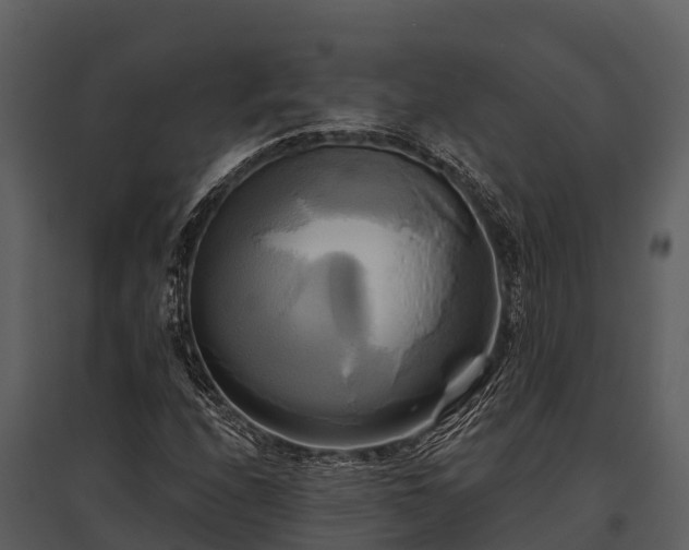 X0000095681208200801151118
