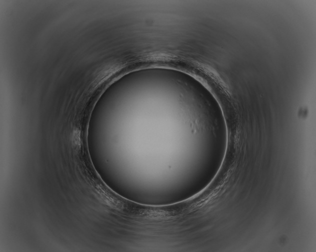 X0000095681209200801151118