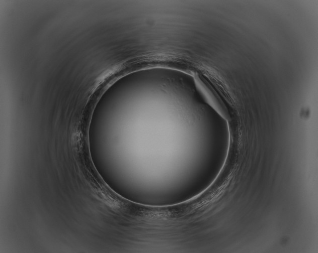 X0000095681210200801151118