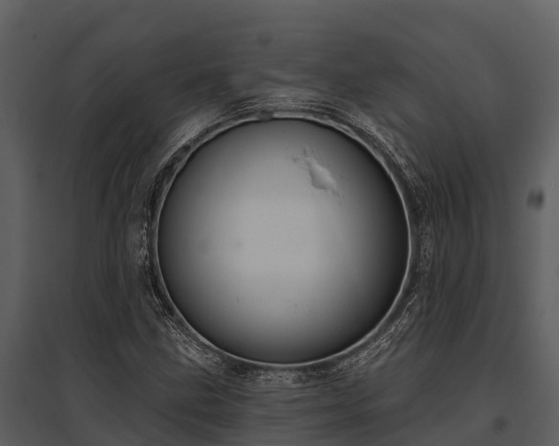 X0000095681211200801151118