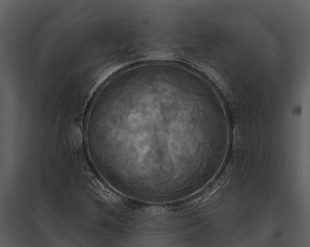 X0000095681212200801151118