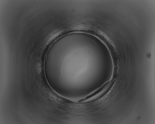X0000095681213200801151118