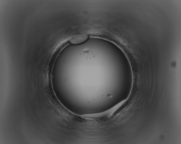 X0000095681214200801151118