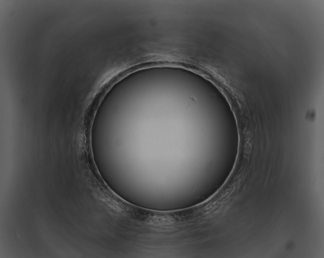 X0000095681215200801151118