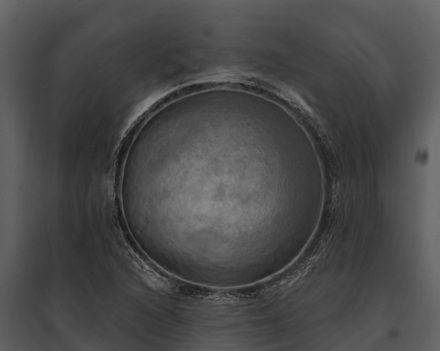X0000095681216200801151118