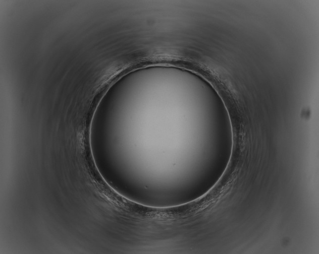 X0000095681217200801151118
