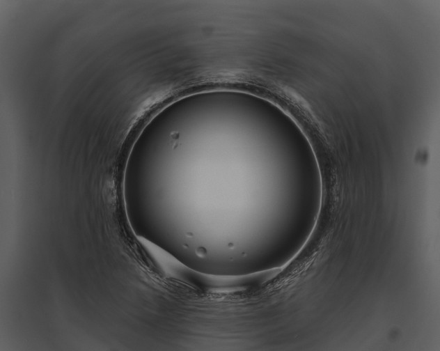 X0000095681218200801151118