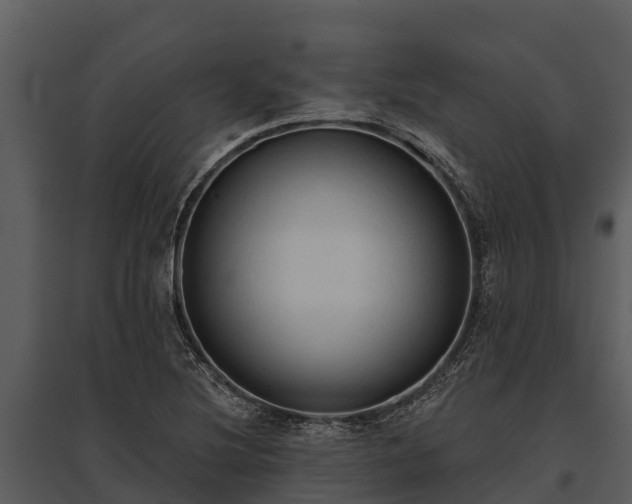 X0000095681220200801151118