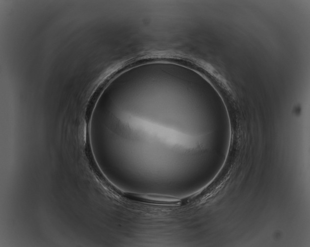 X0000095681221200801151118