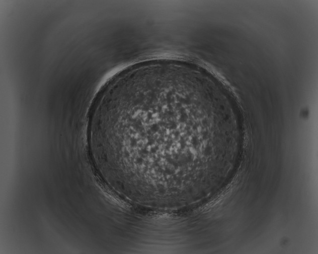 X0000095681222200801151118