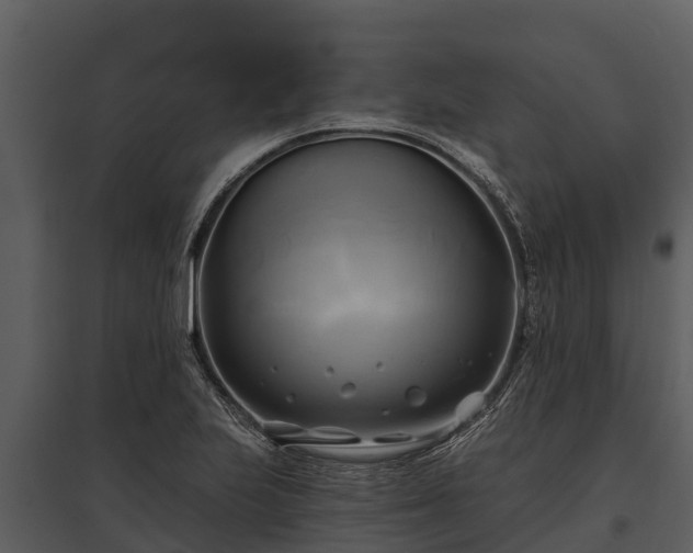 X0000095681223200801151118
