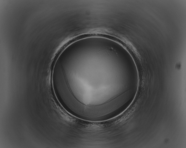 X0000095681224200801151118