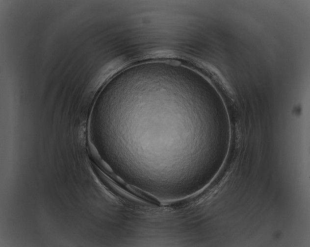 X0000095681225200801151118