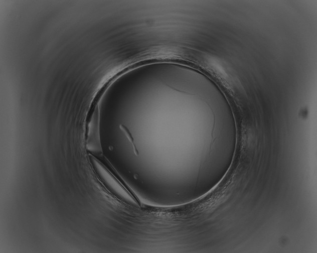 X0000095681226200801151118