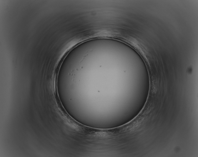 X0000095681227200801151118