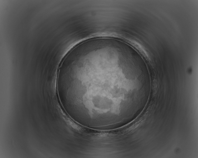 X0000095681228200801151118