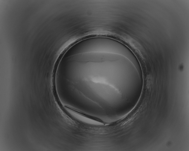 X0000095681229200801151118