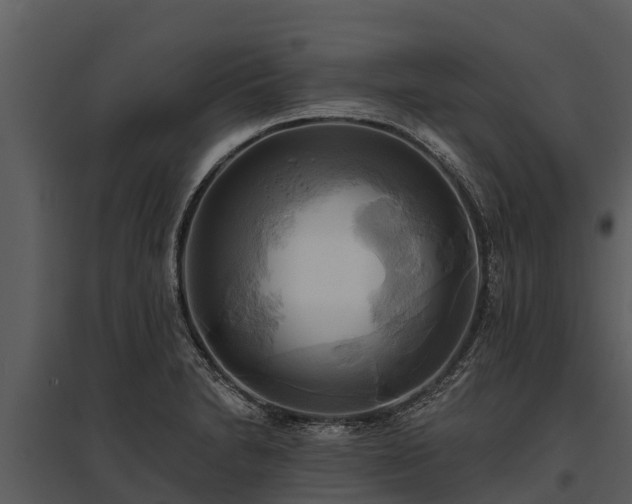 X0000095681230200801151118