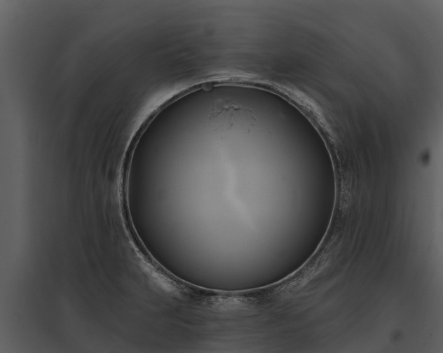 X0000095681231200801151118