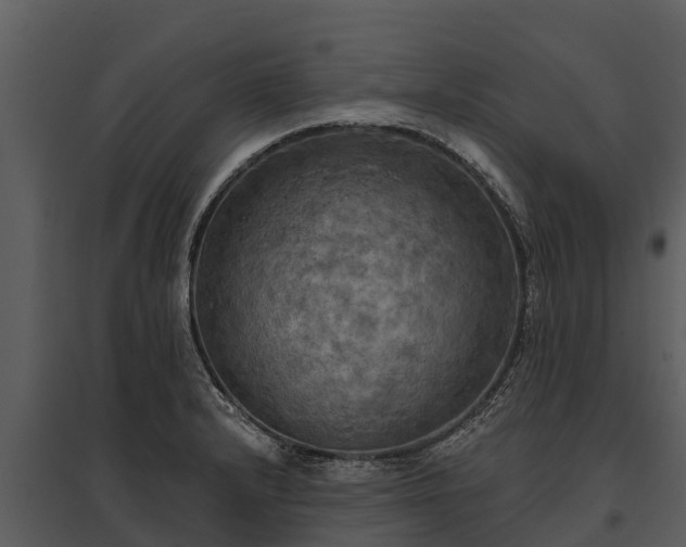 X0000095681232200801151118