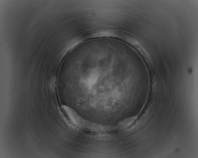 X0000095681233200801151118