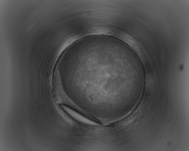 X0000095681234200801151118
