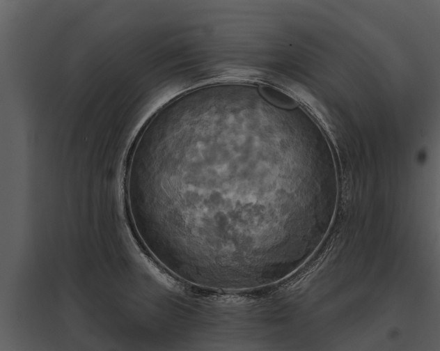 X0000095681235200801151118