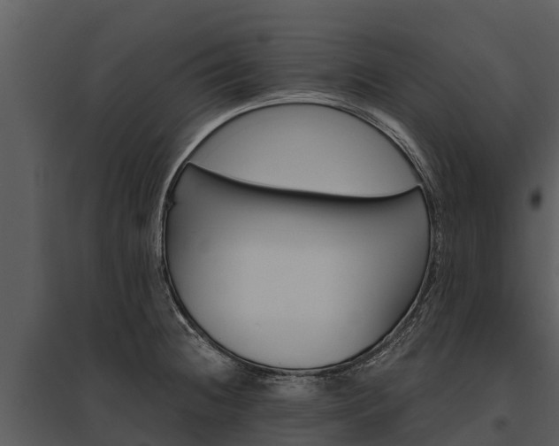 X0000095681236200801151118