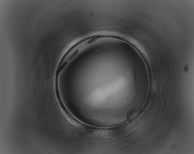 X0000095681237200801151118