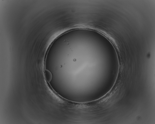X0000095681239200801151118