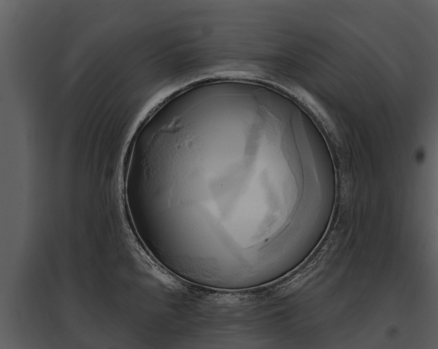 X0000095681240200801151118