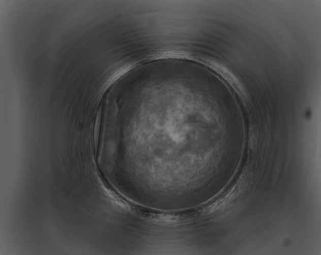 X0000095681241200801151118