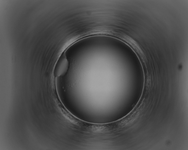X0000095681242200801151118