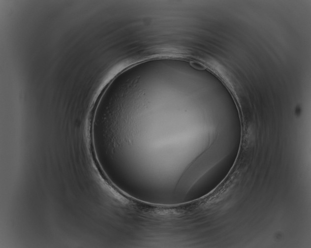 X0000095681243200801151118