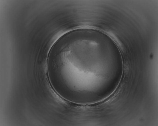 X0000095681244200801151118