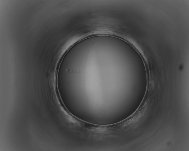 X0000095681245200801151118