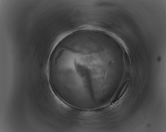 X0000095681247200801151119
