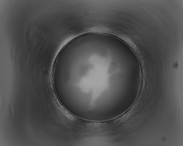X0000095681248200801151119