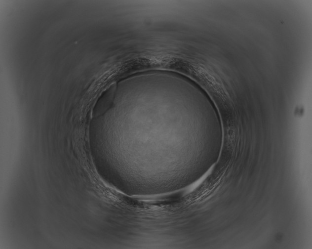 X0000095681249200801151118