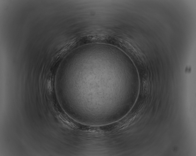 X0000095681250200801151118