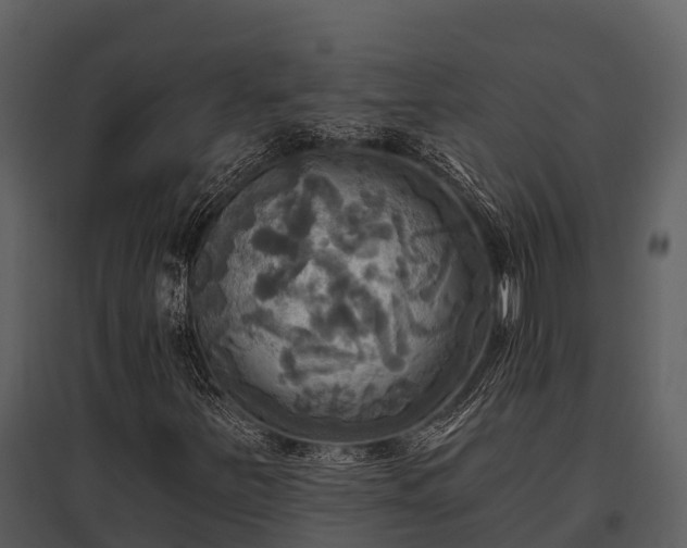X0000095681251200801151118
