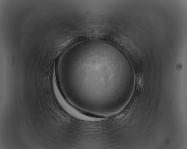 X0000095681252200801151118