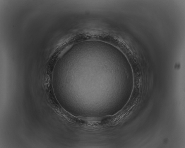 X0000095681253200801151118