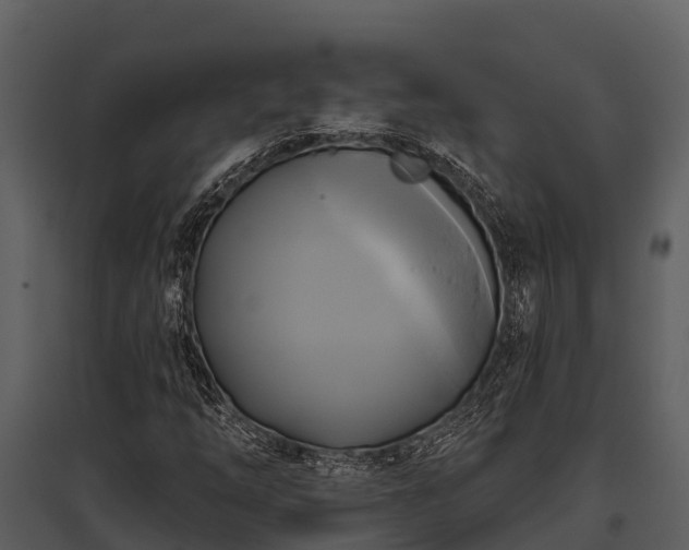 X0000095681254200801151118